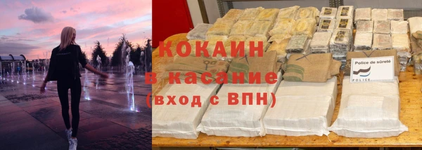индика Алексеевка