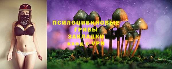 прущий лед Алексин