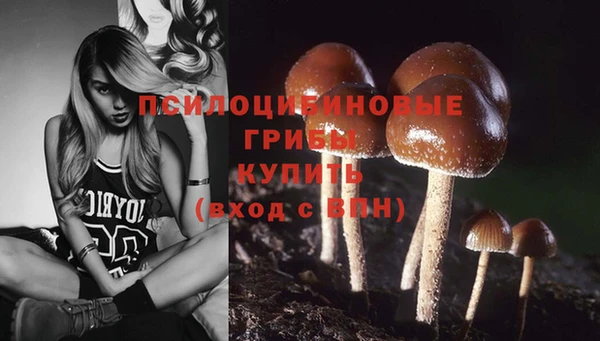 прущий лед Алексин