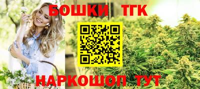 spice Моздок