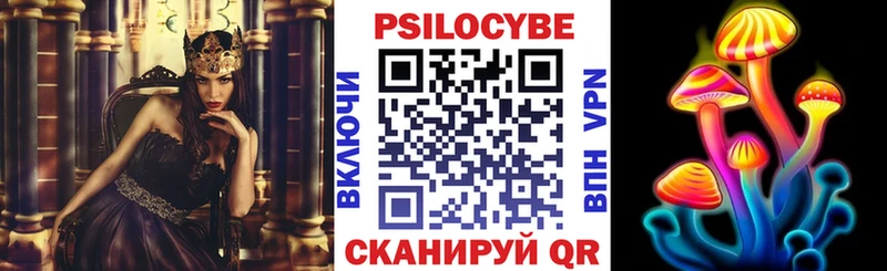 KRAKEN ONION  Камышин  Галлюциногенные грибы Psilocybe 