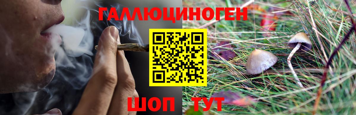 Галлюциногенные грибы Psilocybine cubensis  Псилоцибиновые грибы Psilocybine cubensis  Вход с VPN  Камышин 